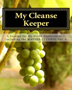 My_Cleanse_Keeper_Cover_for_Kindle_VOL 4